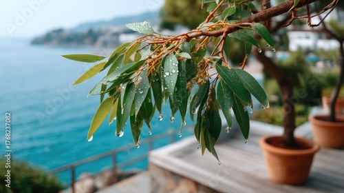Close up macro view of wet green leaves with clear water droplets glistening on a branch with blurred ocean and coastal scenery in the background on a bright day