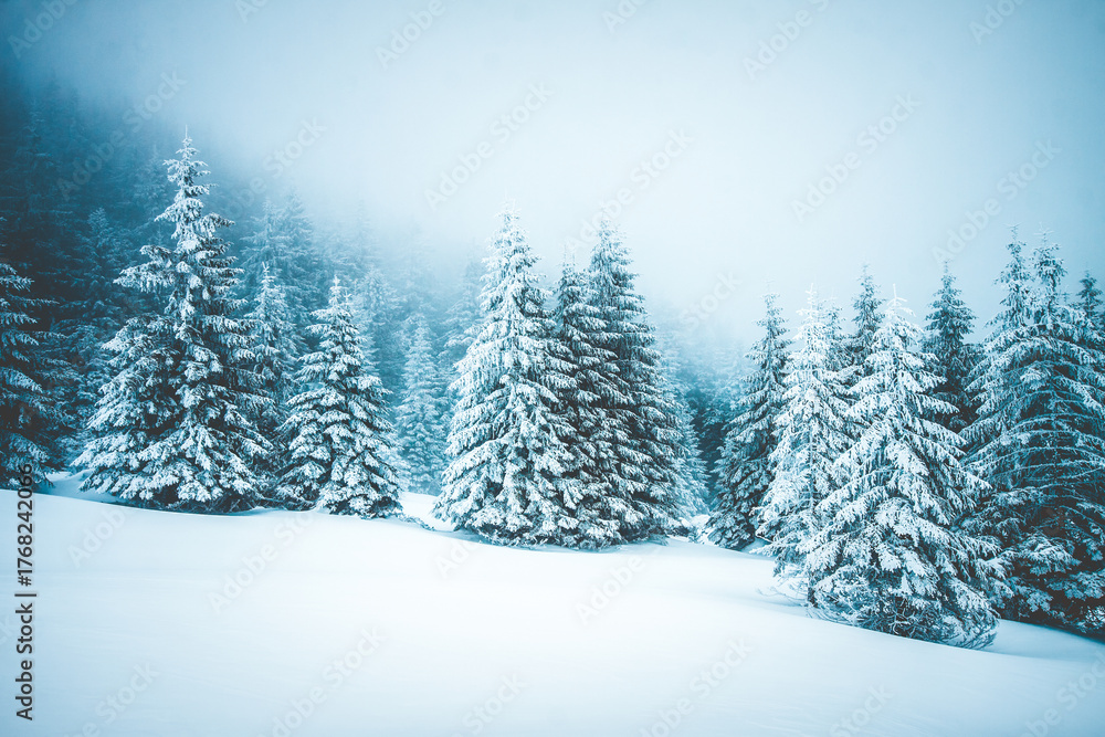 Naklejka premium Christmas background with snowy fir trees