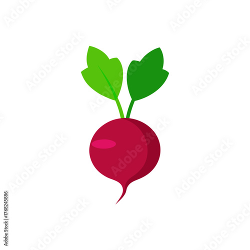 Illustration of a single red radish plant on transparent background