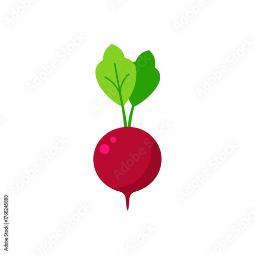 Illustration of a single red beet plant on transparent background
