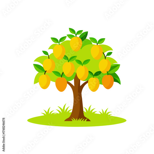 Illustration of a tree with orange fruits on transparent background