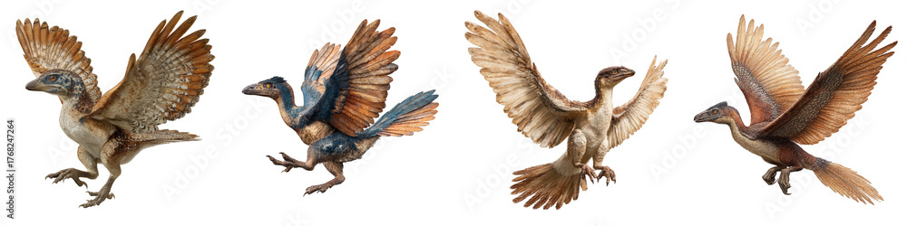 Obraz premium Realistic feathered dinosaurs flying in various poses on transparent background