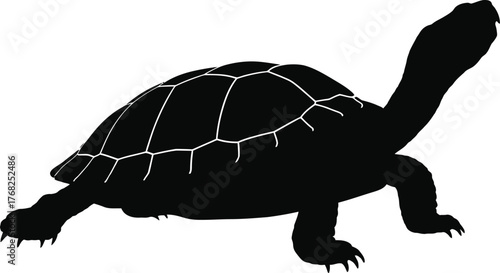 Turtle Silhouette Crawling Reptile Vector Illustration Sea Wildlife Aquatic Creature