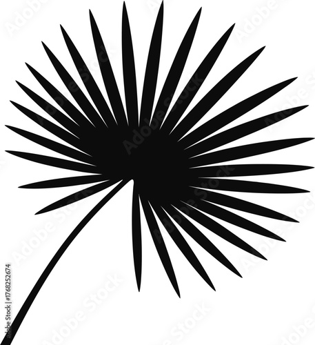 Stylized Palmetto Leaf Silhouette: Black Vector Illustration for Tropical and Exotic Designs