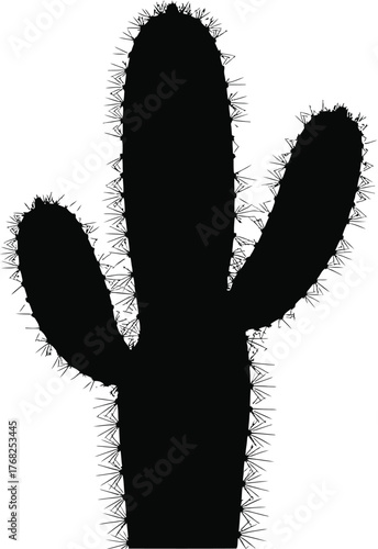 Black Silhouette Cactus Plant Desert Flora Succulent Tropical Nature