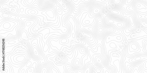 Minimal white line geometric grid outline curve counter map and wavy topography relief discovery area white, black line texture background.	
