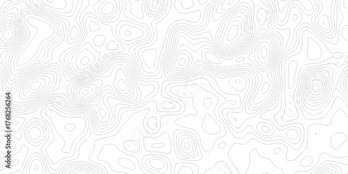 Minimal white line geometric grid outline curve counter map and wavy topography relief discovery area white, black line texture background.	
