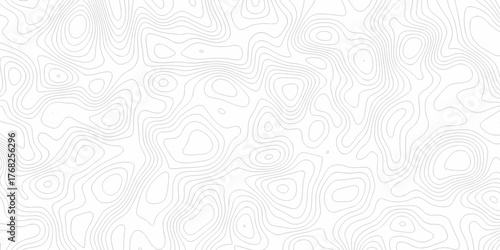 Minimal white line geometric grid outline curve counter map and wavy topography relief discovery area white, black line texture background.	
