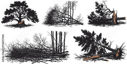 Broken tree illustrations, collapsed trunks and branches, forest damage graphics, environmental impact art, disaster scene elements, nature decay visuals