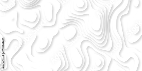 Abstract white paper cut background with lines. Background of the topographic map. White wave paper curved reliefs abstract background. Realistic papercut decoration textured with wavy layers.	
