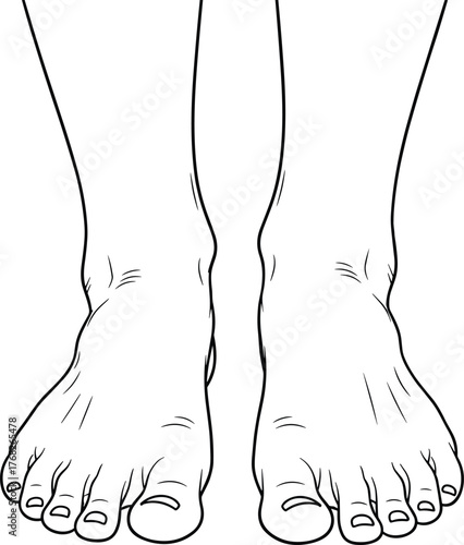 Minimalist line art vector illustration of human feet from a top-down view, clean outline design for anatomy, podiatry, or wellness concepts, simple modern style with detailed toes and arches