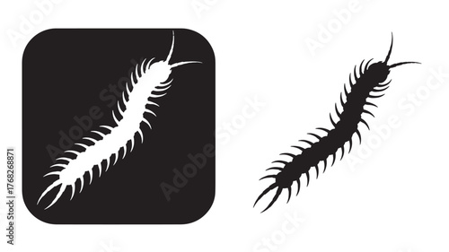 Two centipede silhouettes displayed in contrasting styles on transparent background