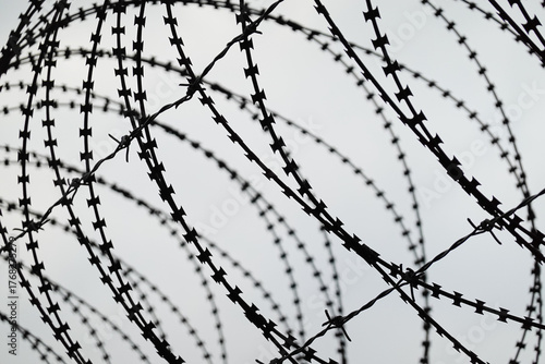 barbed wire on the background of the sky, close-up