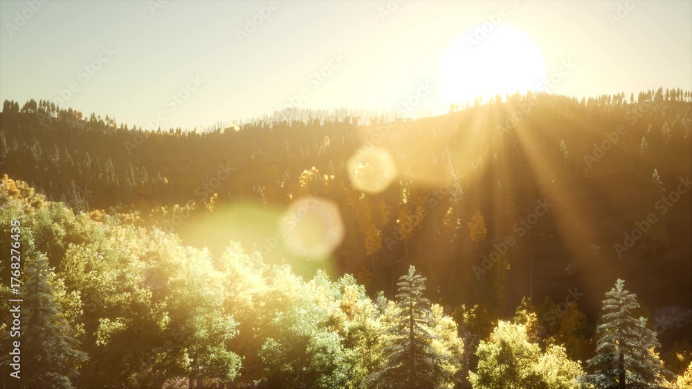 Naklejka premium Golden sunlight breaks over mountains, casting warm rays through lush treetops. Nature awakens as day begins, illuminating the forest with a peaceful glow and soft colors.
