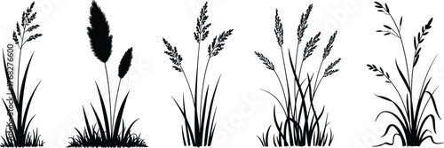 Collection of decorative grass and plant silhouette vector illustrations with seed heads, ornamental foliage, natural botanical artwork, elegant landscape design