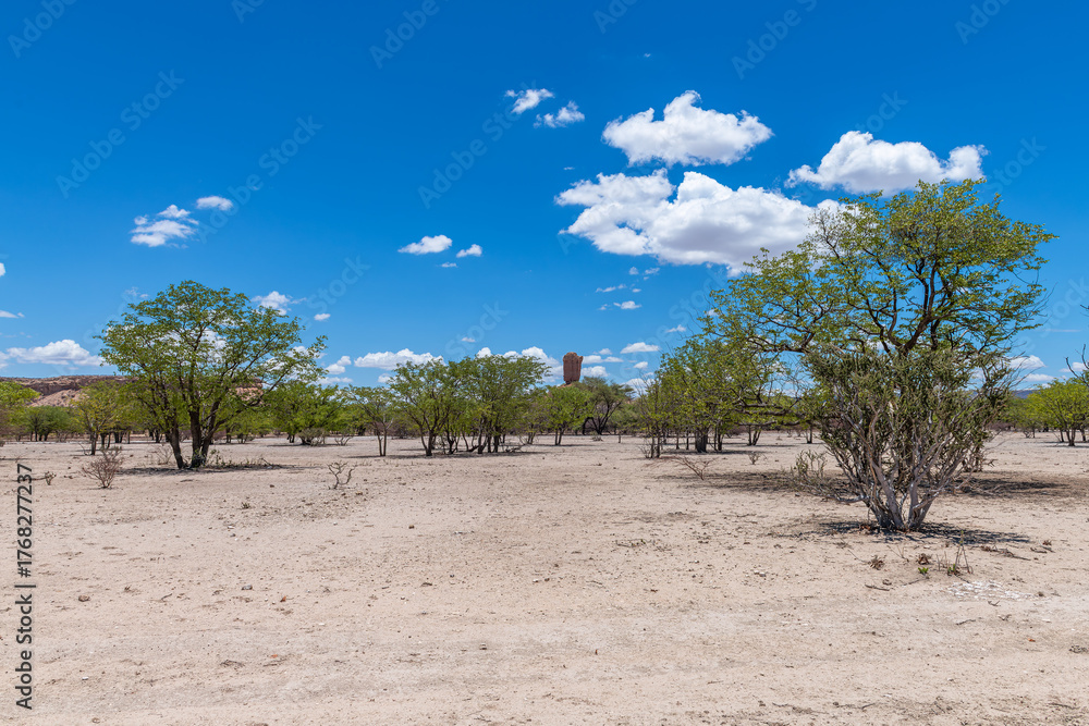 Fototapeta premium Sand road in the Ugab River valley, Namibia
