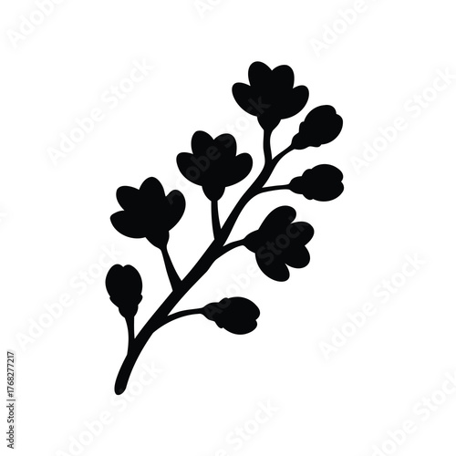 Silhouette of a blossoming branch in springtime against a white background
