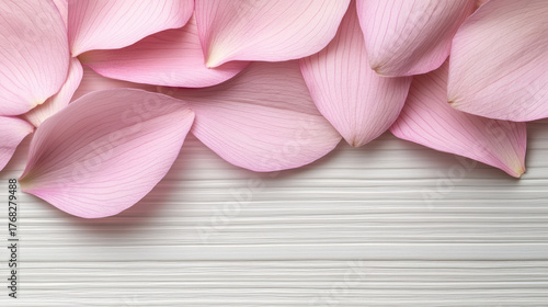 Soft pink petals arranged elegantly on textured surface create serene atmosphere