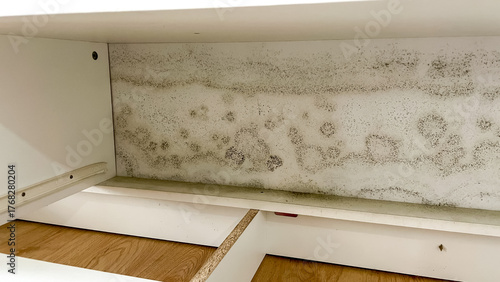 Fotografía Large patches of green mold on the inside wall of a white cabinet, caused by high humidity and poor ventilation
