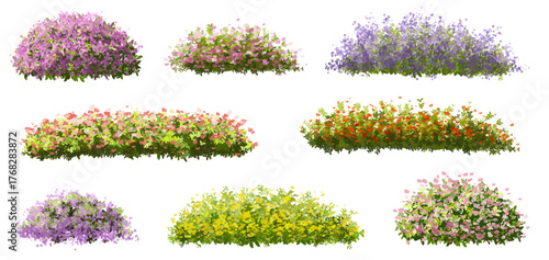 Vector of tree or blooming  side view isolated on white background ,watercolor tree elevation for landscape concept,environment scene,eco design,blossom garden for spring