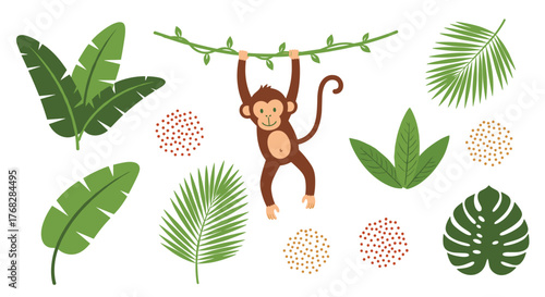 Cute cartoon monkey swinging on a vine amidst tropical jungle leaves and decorative elements on a white background.