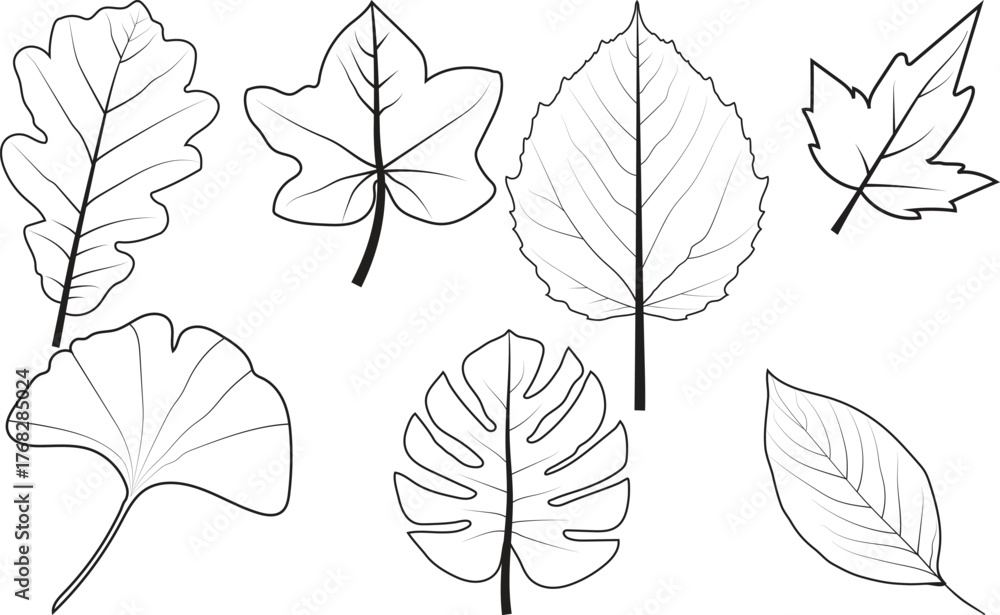 Obraz premium set of leaves vector