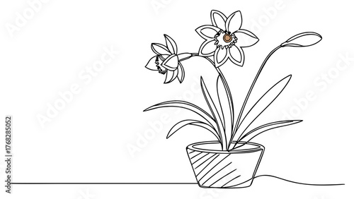 Delicate daffodil flower in pot, a simple continuous line drawing for minimalist decor, botanical art projects, and spring designs with elegant charm