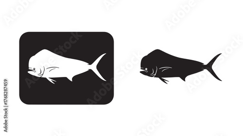 Two mahi mahi fish illustrations one white one black on transparent background silhouette