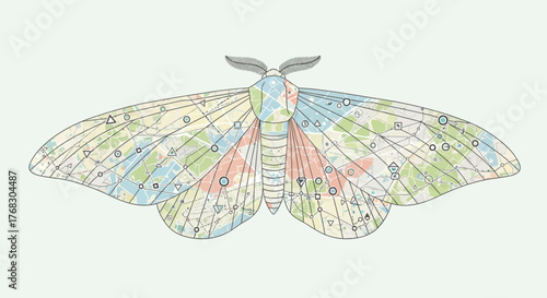 Beautiful Colorful Moth with Delicate Wings and Intricate Patterns.