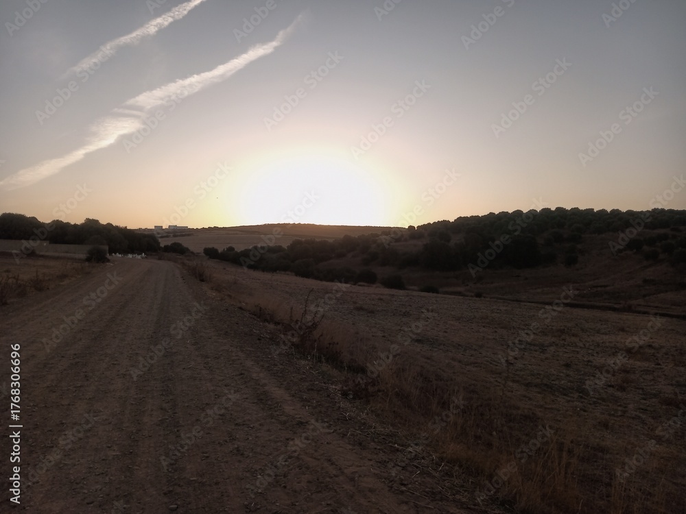 Fototapeta premium Sunset over the field