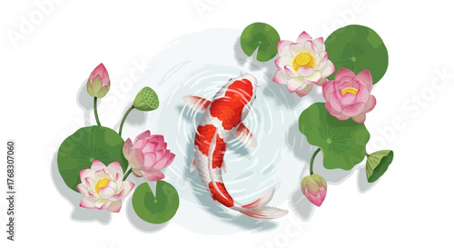 Elegant koi fish gracefully swims amongst blooming lotus flowers and lush green pads in tranquil