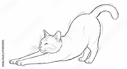 Graceful Cat Stretching Line Art Drawing Illustration.