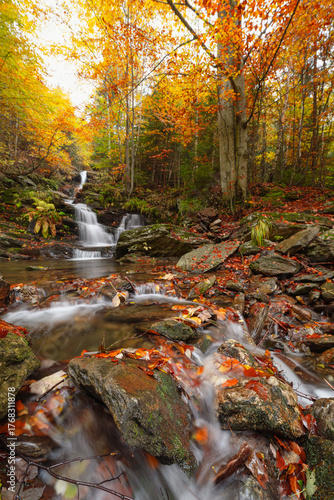 waterfall, autumn, water, nature, landscape, stream, river, forest, cascade, falls, fall, rock, stone, tree, rocks, creek, travel, moss, natural, park, flow, flowing, beautiful, wet, green