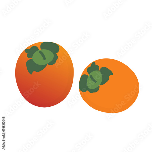 Vector illustration exotic fruit of persimmon 