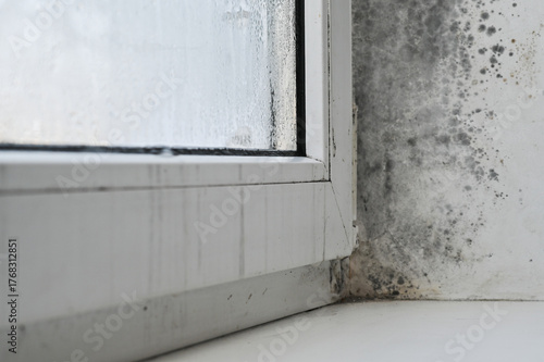 Closeup of a window corner with condensation buildup and mold growth. damp area. window combination of condensation and mold. moisture accumulation