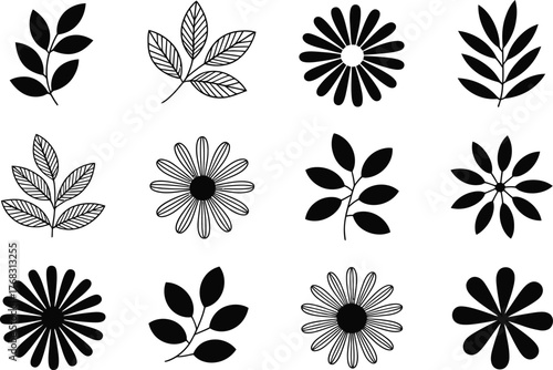 Collection of black and white botanical and floral elements for decorative design vector