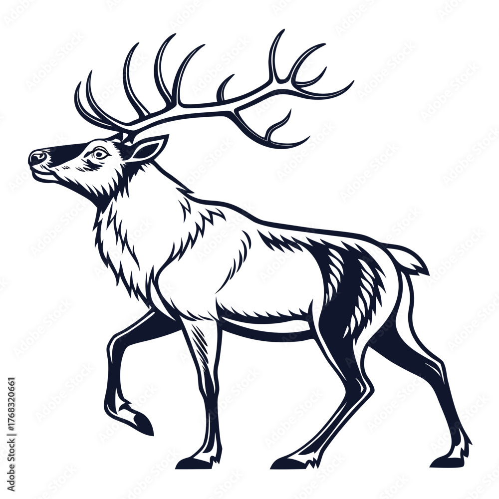 Fototapeta premium Majestic elk with large antlers walking