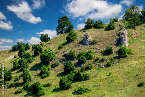 Dry slopes and juniper heath near Dollnstein