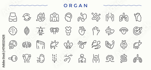 Organ line icon set. Minimalist icons pack. Nature icon set. It contains symbols to eco-friendly, ecological, vegan, herbal, gardening, farming, nature and more.
