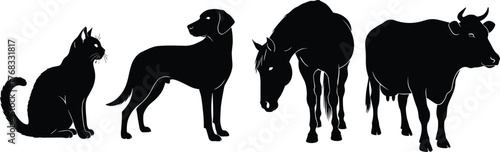 Black silhouette illustration of cat, dog, horse and cow in side profile showcasing domestic animal diversity