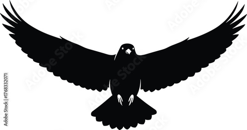 Black silhouette of bird in symmetrical flight with spread wings and claws on white minimal background vectorBlack silhouette of bird in symmetrical flight with spread wings and claws on white
