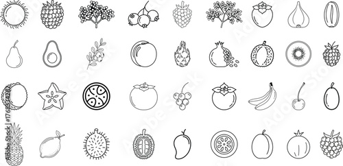 A set of line drawing illustrations of various fruits, including pomegranate, pineapple, grapes, star fruit, lemon, orange, banana, avocado, pear, and others.
