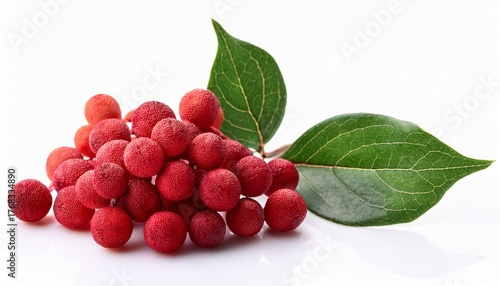 Schisandra Chinensis Medicinal Herb Fruit With Leaf Isolated On White