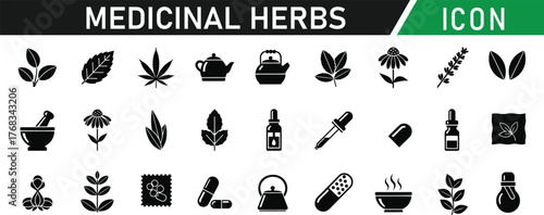 Medicinal herbs glyph icon set. Including Aloe Vera, Ginger, Echinacea, Chamomile, Lavender, Peppermint, Turmeric, Ginkgo, Garlic, Tea Tree. Vector silhouette illustration
