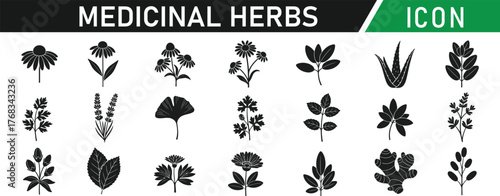 Medicinal herbs glyph icon set. Including Aloe Vera, Ginger, Echinacea, Chamomile, Lavender, Peppermint, Turmeric, Ginkgo, Garlic, Tea Tree. Vector silhouette illustration