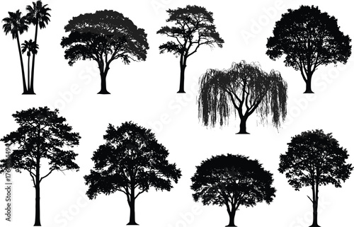 Silhouettes of Diverse Tree Species in Grid Layout Showcasing Botanical Variety and Natural Foliage Shapes for Design Use