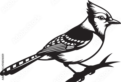 Black and white graphic illustration of a blue jay perched on a branch bird animal