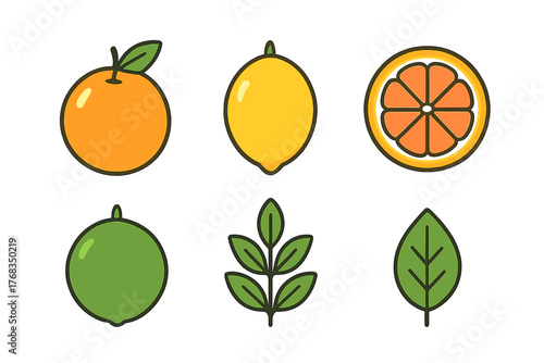 Fresh citrus fruits assortment including orange, lemon, lime, and green leaves