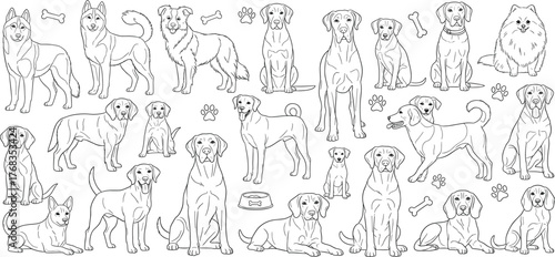 Dog breed line art, sitting and standing dogs, pet illustration, paw print, bone icon, black and white vector drawing