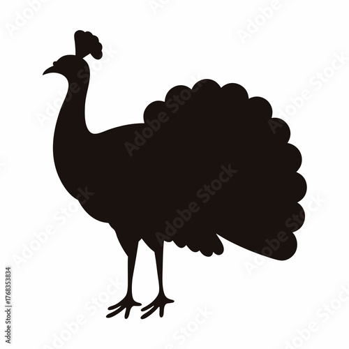Elegant silhouette of a peacock with intricate plumage against a white background